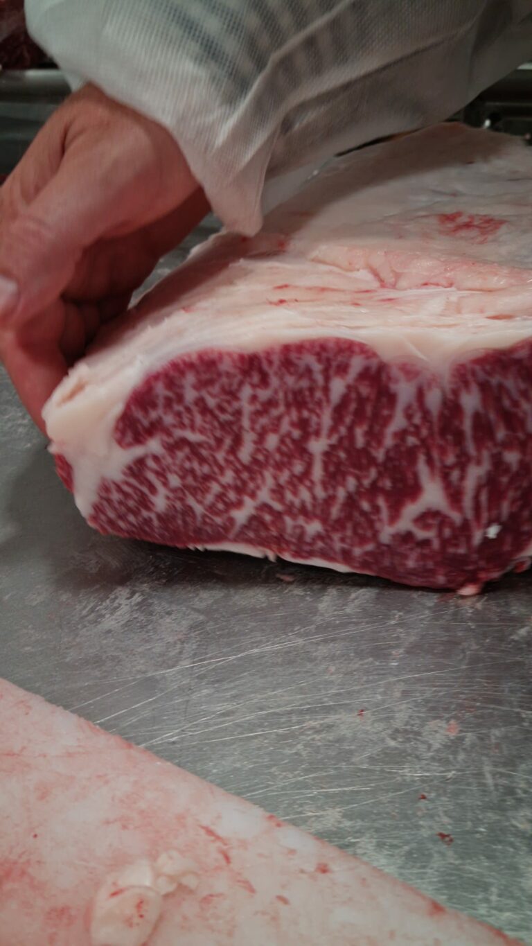 A5 full-blood Wagyu marbling close-up